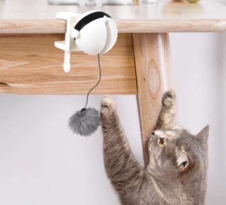 Pounce interactive cat sales toy