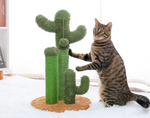 Cactus Scratch Post