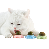 Craving Catnip Ball
