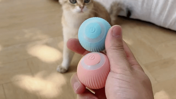 Cat balls best sale