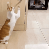 Flap N' Fly Bird Toy