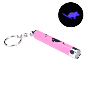 Mouse shaped laser pointer hotsell