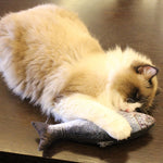 Interactive Flopping Fish