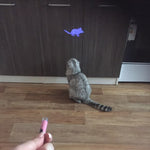Mouse LED Laser
