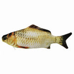 Interactive Flopping Fish