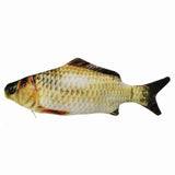 Interactive Flopping Fish